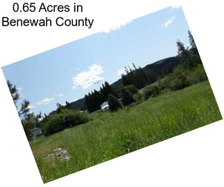 0.65 Acres in Benewah County