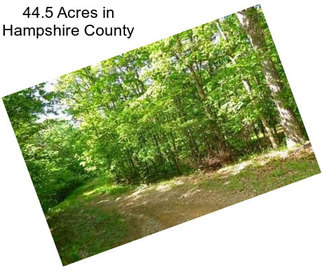 44.5 Acres in Hampshire County