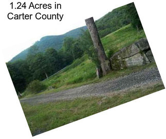 1.24 Acres in Carter County