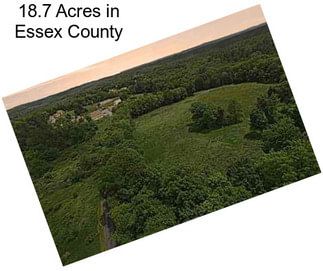 18.7 Acres in Essex County