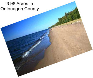 3.98 Acres in Ontonagon County