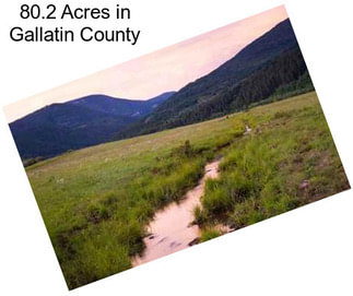 80.2 Acres in Gallatin County