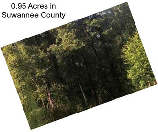 0.95 Acres in Suwannee County
