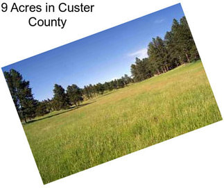 9 Acres in Custer County