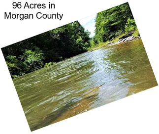 96 Acres in Morgan County