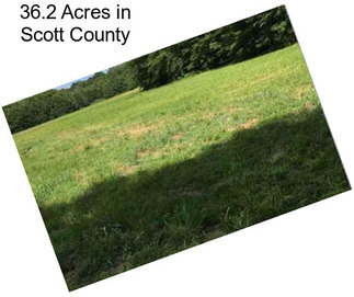 36.2 Acres in Scott County