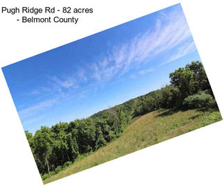 Pugh Ridge Rd - 82 acres - Belmont County