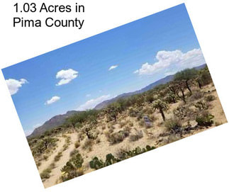 1.03 Acres in Pima County