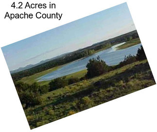 4.2 Acres in Apache County