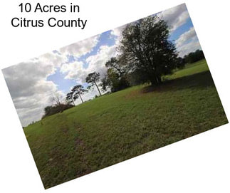 10 Acres in Citrus County