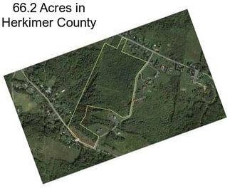 66.2 Acres in Herkimer County