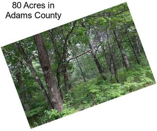 80 Acres in Adams County