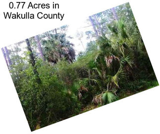 0.77 Acres in Wakulla County