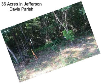 36 Acres in Jefferson Davis Parish