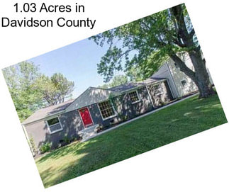 1.03 Acres in Davidson County
