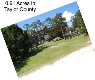 0.91 Acres in Taylor County