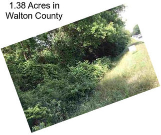 1.38 Acres in Walton County