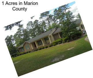 1 Acres in Marion County