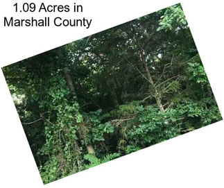 1.09 Acres in Marshall County