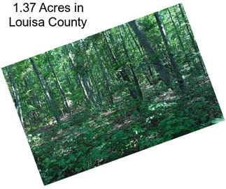1.37 Acres in Louisa County