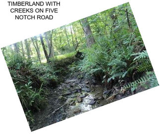 TIMBERLAND WITH CREEKS ON FIVE NOTCH ROAD