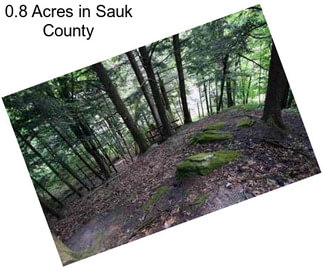 0.8 Acres in Sauk County