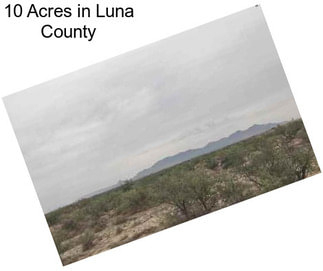 10 Acres in Luna County