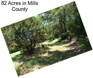 82 Acres in Mills County