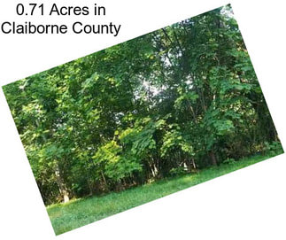 0.71 Acres in Claiborne County