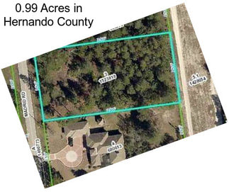 0.99 Acres in Hernando County