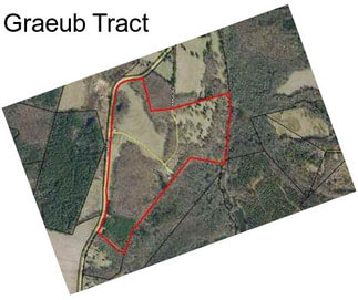 Graeub Tract