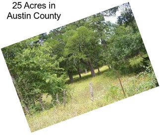 25 Acres in Austin County