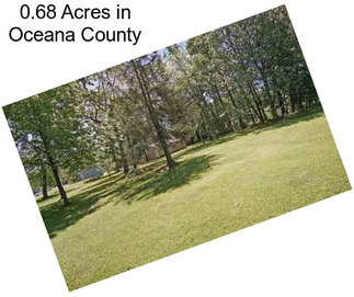 0.68 Acres in Oceana County