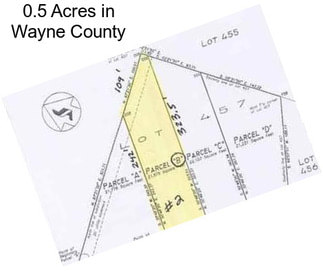 0.5 Acres in Wayne County