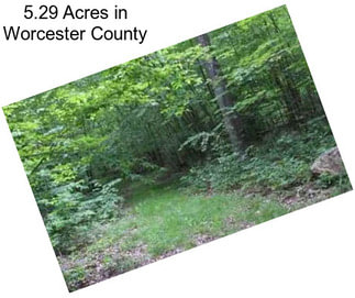 5.29 Acres in Worcester County