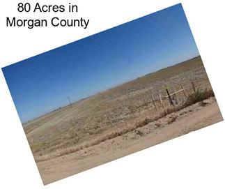 80 Acres in Morgan County