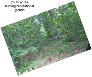 28.75 acres hunting/recreational ground