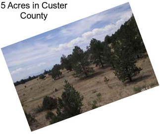 5 Acres in Custer County