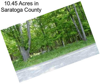 10.45 Acres in Saratoga County