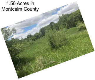 1.56 Acres in Montcalm County