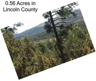 0.56 Acres in Lincoln County