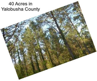 40 Acres in Yalobusha County