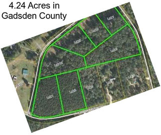 4.24 Acres in Gadsden County