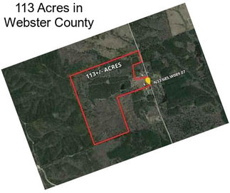 113 Acres in Webster County