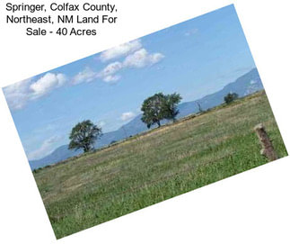 Springer, Colfax County, Northeast, NM Land For Sale - 40 Acres