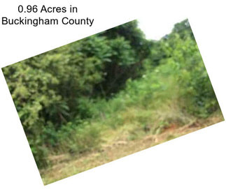 0.96 Acres in Buckingham County