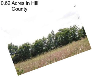 0.62 Acres in Hill County