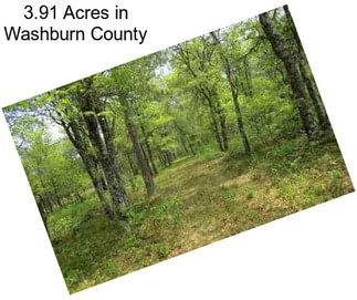 3.91 Acres in Washburn County