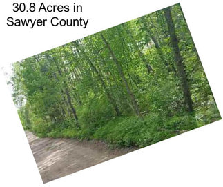 30.8 Acres in Sawyer County