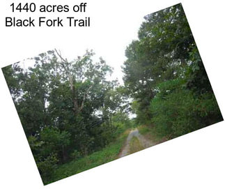 1440 acres off Black Fork Trail